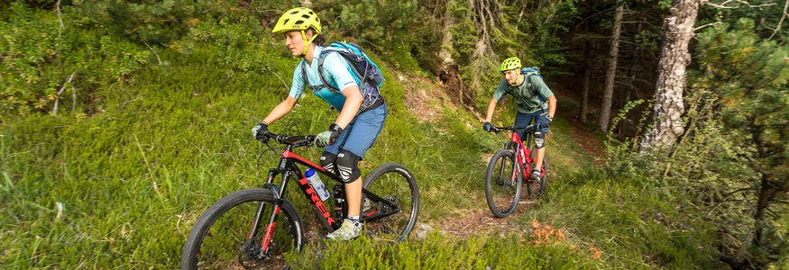 Levico Lake © WOM Medien - Andreas Meyer Two mountain bikers cycling on a forest trail through green vegetation