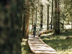 Vier Mountainbiker fahren auf einem Holzsteg durch einen Wald