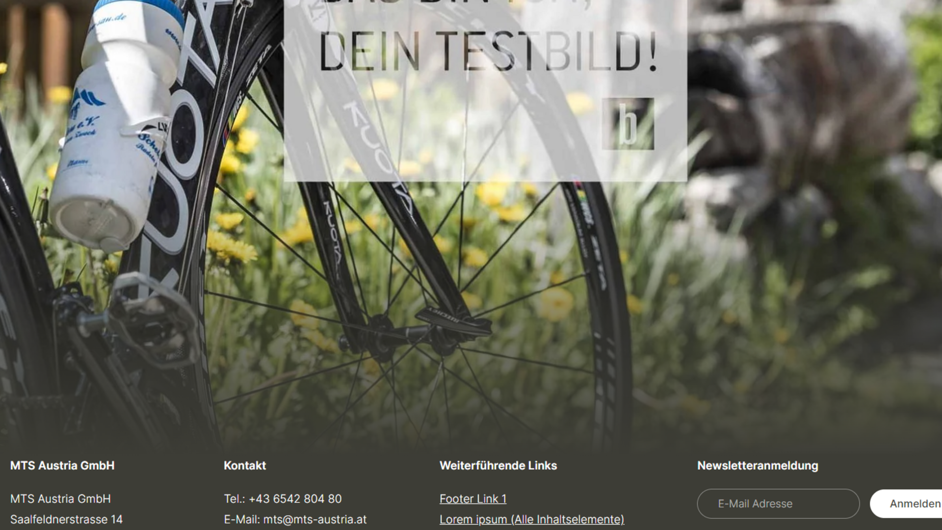 Footer Fahrradreifen und Wasserflasche vor gelben Blumen im Sonnenschein