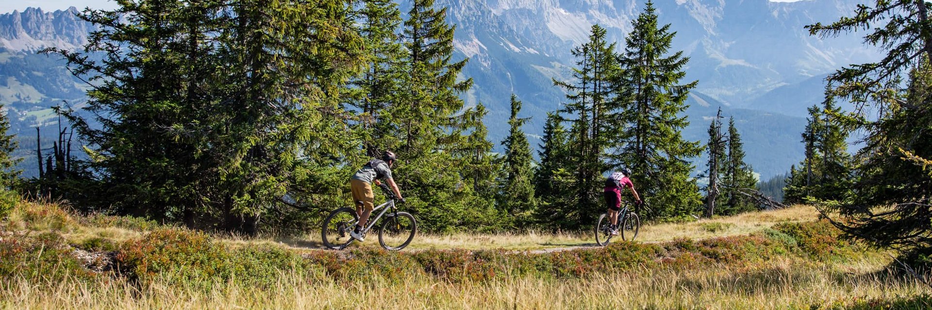 Zwei Radfahrer fahren durch einen Waldweg mit Bergen im Hintergrund