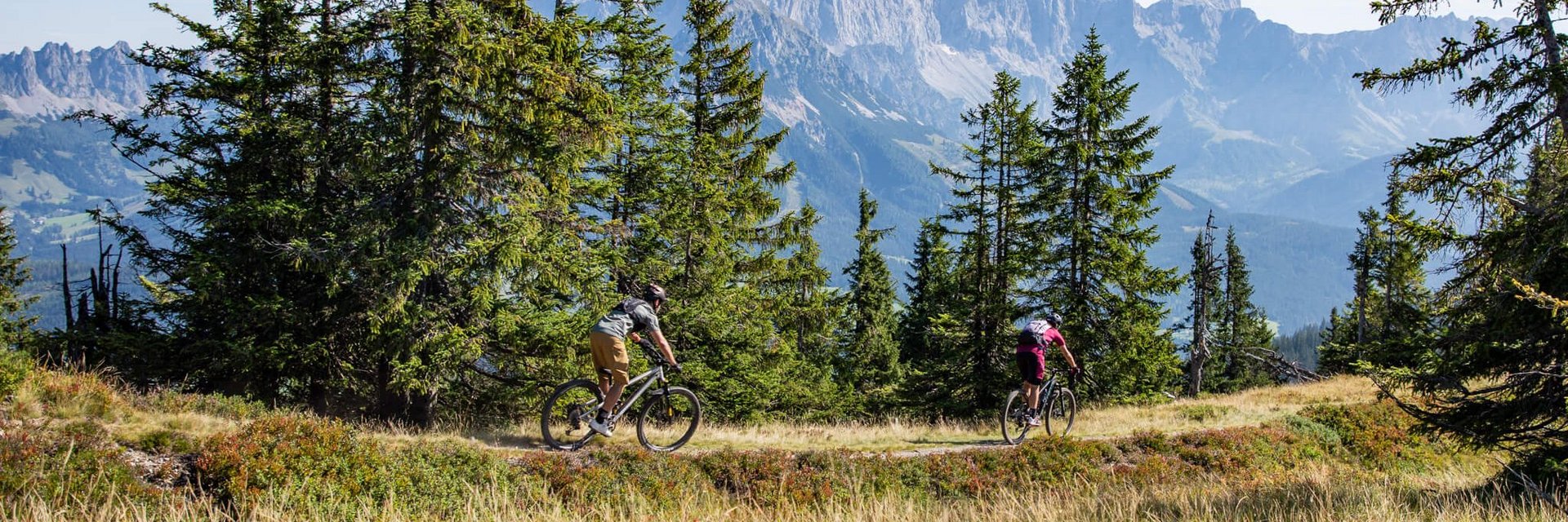 Twee fietsers op een bospad met bergen op de achtergrond