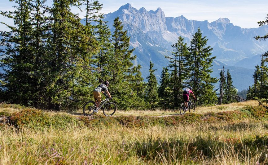Zwei Radfahrer fahren durch einen Waldweg mit Bergen im Hintergrund