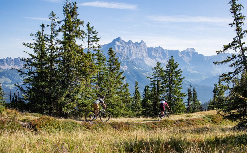 Mountain bike holidays in the Salzburger Sportwelt