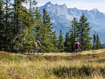 Zwei Radfahrer fahren durch einen Waldweg mit Bergen im Hintergrund
