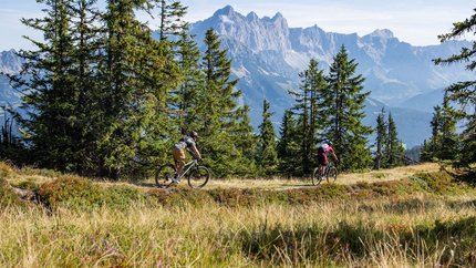 Two cyclists riding on a forest trail with mountains in the background