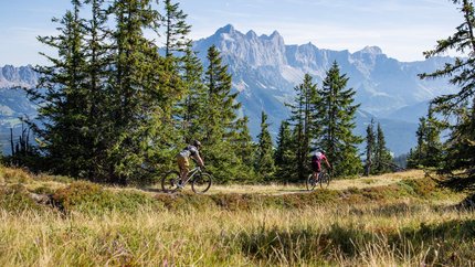 Two cyclists riding on a forest trail with mountains in the background