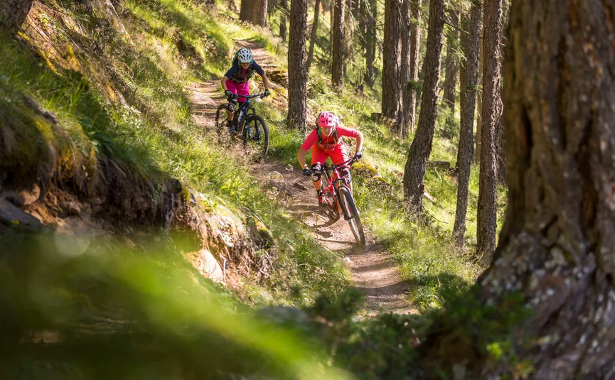 Two mountain bikers riding downhill on a forest trail