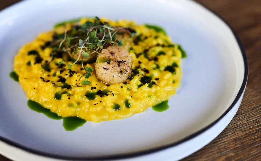 Yellow risotto with scallops and green sauce on a white plate