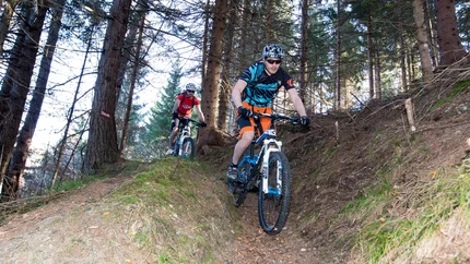 Zwei Mountainbiker fahren auf einem Waldpfad bergab