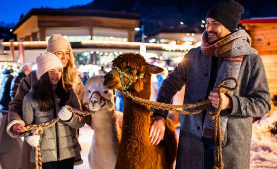 Advent season in "Kirchheim" 2 nights Family with two alpacas at a winter evening market