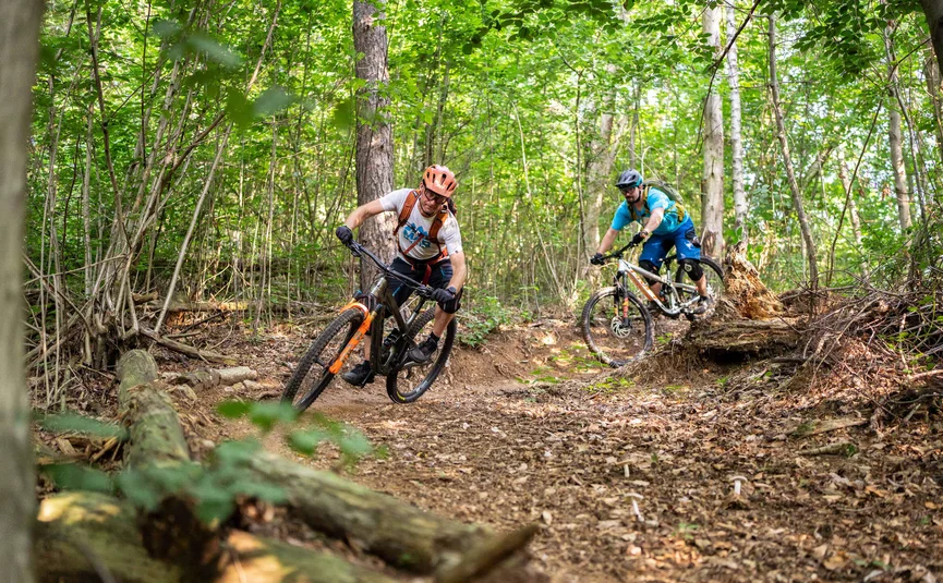 Twee mountainbikers rijden over een bospaadje met bladeren en boomstammen