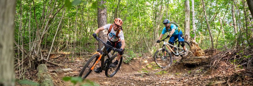 Two mountain bikers riding on a leafy forest trail with fallen logs