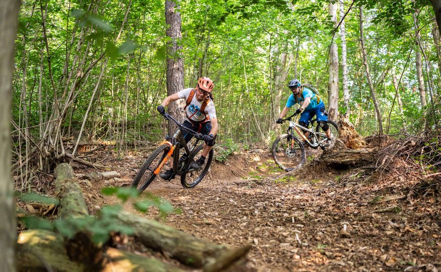 Two mountain bikers riding on a leafy forest trail with fallen logs