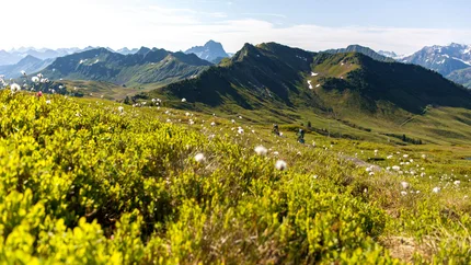 Biker fahren auf einem schmalen Weg durch grüne Alpenwiesen bei Sonnenschein