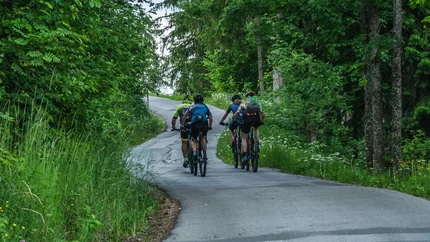 Gruppe Radfahrer auf Waldweg umgeben von grünem Laub