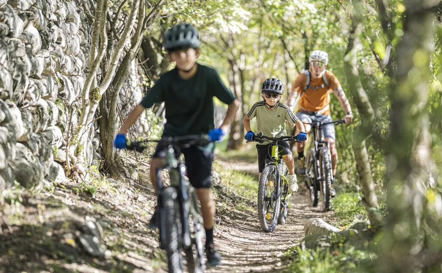 Drei Radfahrer fahren auf einem Waldweg neben einer Steinmauer