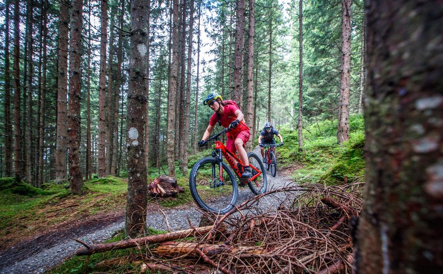 Zwei Mountainbiker fahren auf einem Waldweg durch den Wald