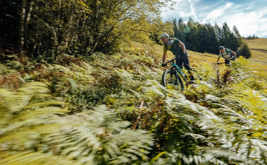 Zwei Mountainbiker fahren durch sonnigen Wald mit Farnen