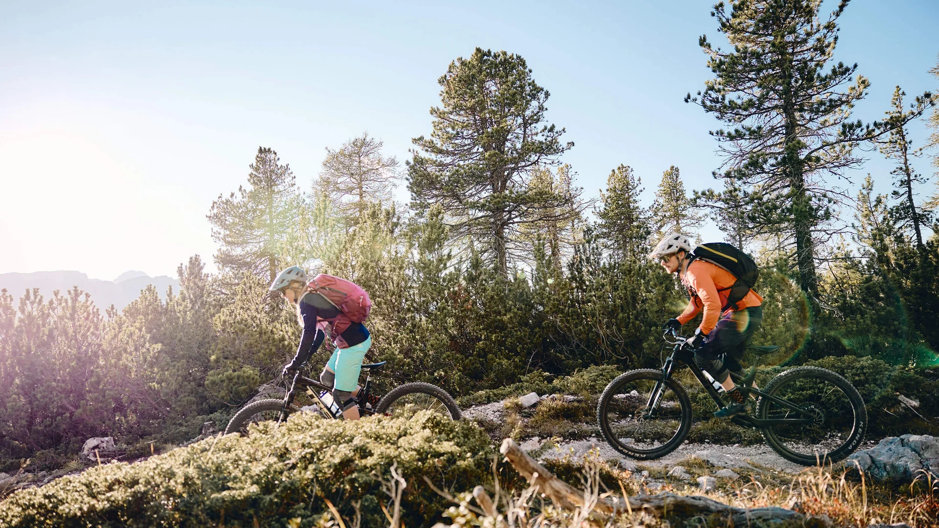 Zwei Mountainbiker fahren auf Waldweg bei sonnigem Wetter
