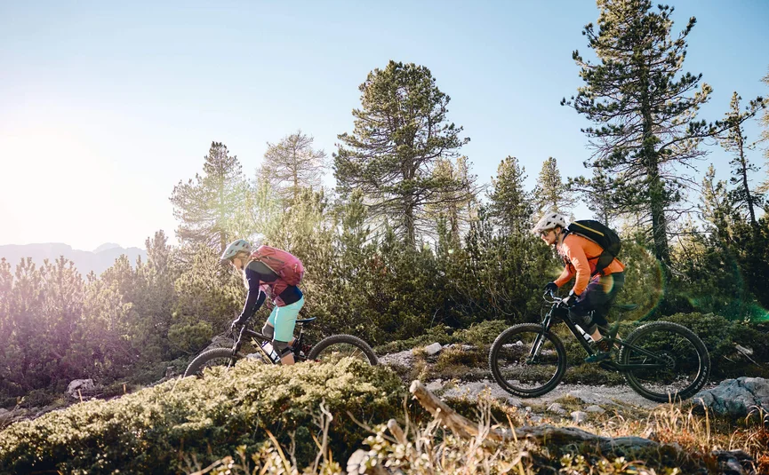 Zwei Mountainbiker fahren auf Waldweg bei sonnigem Wetter