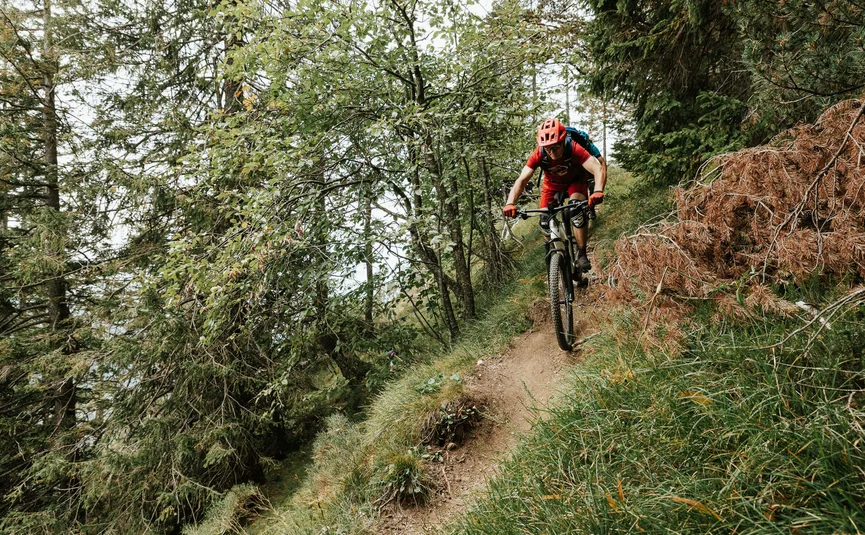 Mountain biker riding downhill on narrow forest trail
