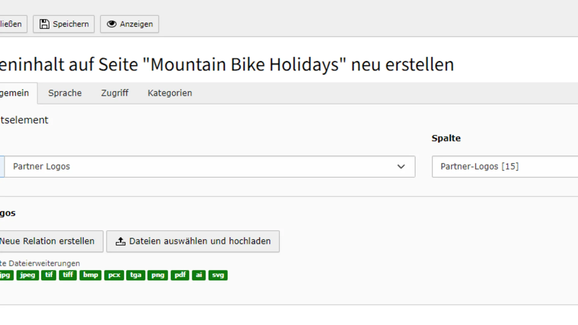 Screenshot Einstellungen zur Erstellung von Partnerlogos auf Mountain Bike Holidays Seite