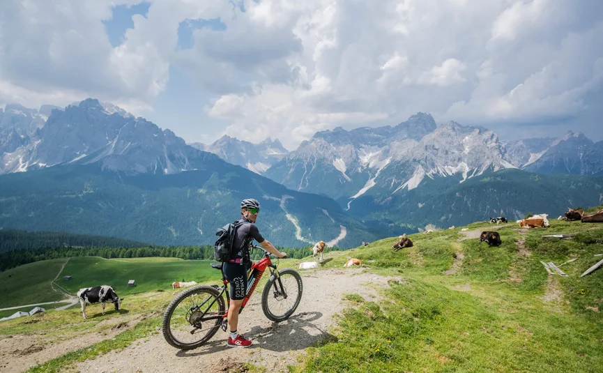 Radfahrer in den Alpen mit Kühen und Bergen im Hintergrund