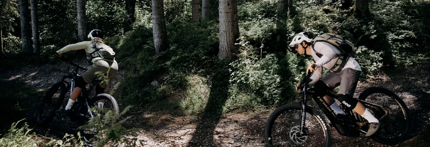 Zwei Mountainbiker fahren einen Waldweg entlang