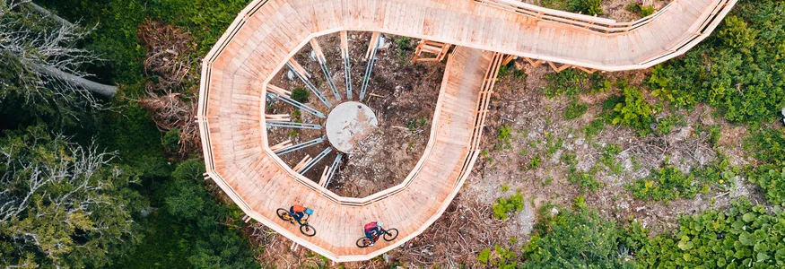 Cyclists on spiral wooden bridge in green forest