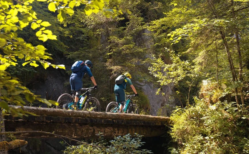 Two mountain bikers crossing a bridge in a sunny forest