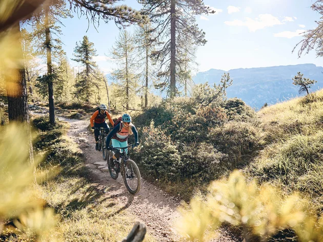 Mountainbike-Urlaub in Alta Badia © Tobias Köhler Zwei Mountainbiker fahren auf einem Waldweg bei sonnigem Wetter