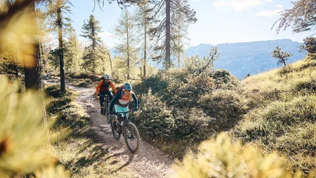 Mountainbike-Urlaub in Alta Badia © Tobias Köhler Zwei Mountainbiker fahren auf einem Waldweg bei sonnigem Wetter