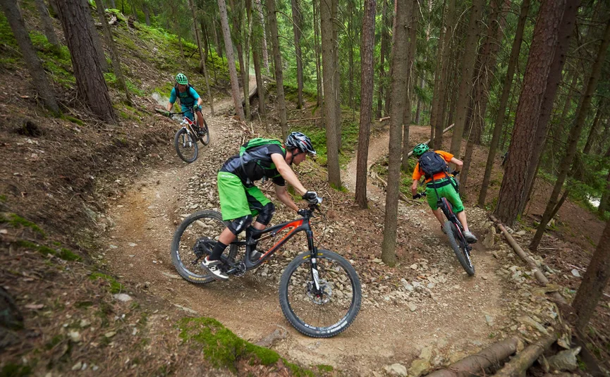 Drei Mountainbiker fahren auf schmalem Waldweg mit Kurven