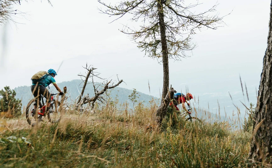 Two mountain bikers riding on a grassy forest trail
