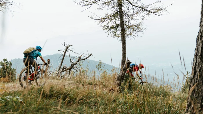 Zwei Radfahrer fahren mountainbiken auf einem bewachsenen Waldpfad