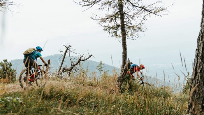 Zwei Radfahrer fahren mountainbiken auf einem bewachsenen Waldpfad