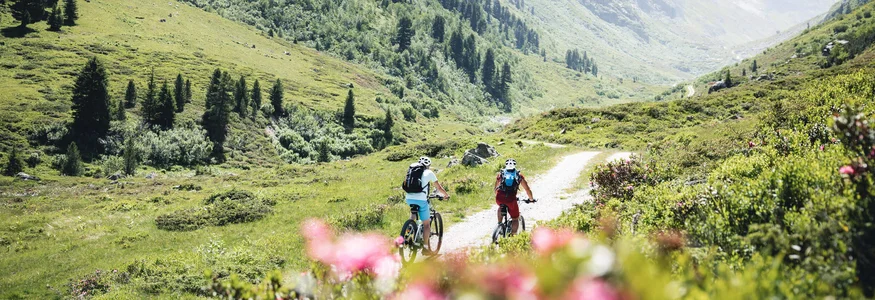 Twee fietsers op een bergpad in groen alpenlandschap met bergen op de achtergrond