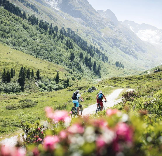 Twee fietsers op een bergpad in groen alpenlandschap met bergen op de achtergrond