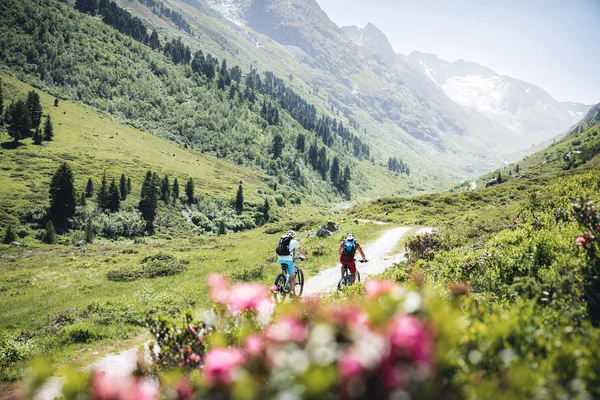 Zwei Radfahrer auf einem Bergweg in grüner Alpenlandschaft mit Bergen im Hintergrund
