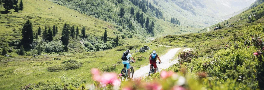 Zwei Radfahrer auf einem Bergweg in grüner Alpenlandschaft mit Bergen im Hintergrund
