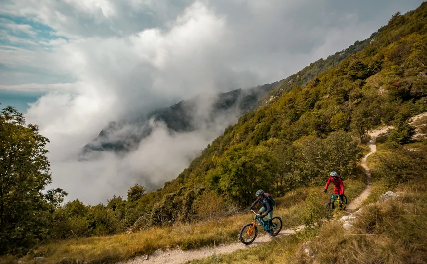 Twee mountainbikers op een bergpad door mistig bos