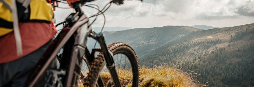 Mountainbiker mit Blick auf bewaldete Berge und bewölkten Himmel