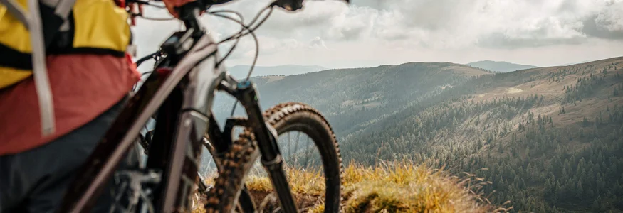 Mountainbiker mit Blick auf bewaldete Berge und bewölkten Himmel
