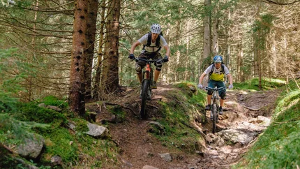 Twee mountainbikers op een ruig bospad