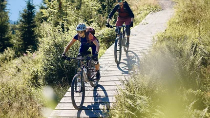 Zwei Mountainbiker fahren auf einem schmalen Waldweg bei Sonnenschein