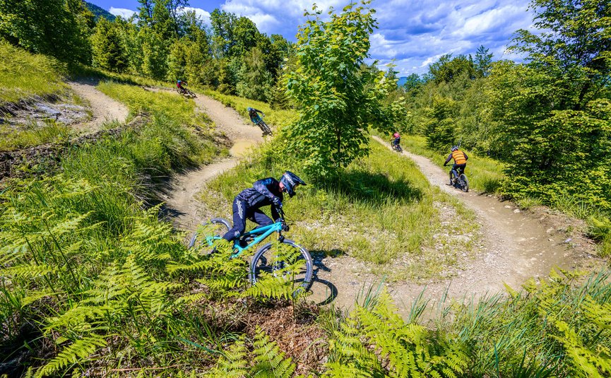 Flow Trail Veronika © Ziga Marin Mountainbiker fahren auf kurviger Waldstrecke bei sonnigem Wetter