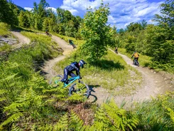 Mountainbiker fahren auf kurviger Waldstrecke bei sonnigem Wetter