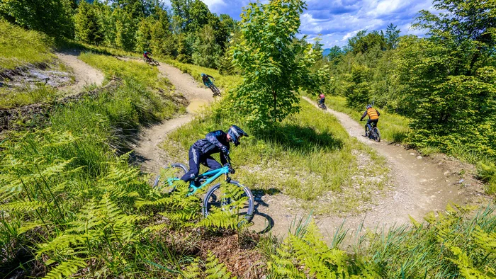 9 Gründe, warum Kočevsko noch ein echter MTB-Geheimtipp ist
© Ziga Marin Mountainbiker fahren auf kurviger Waldstrecke bei sonnigem Wetter