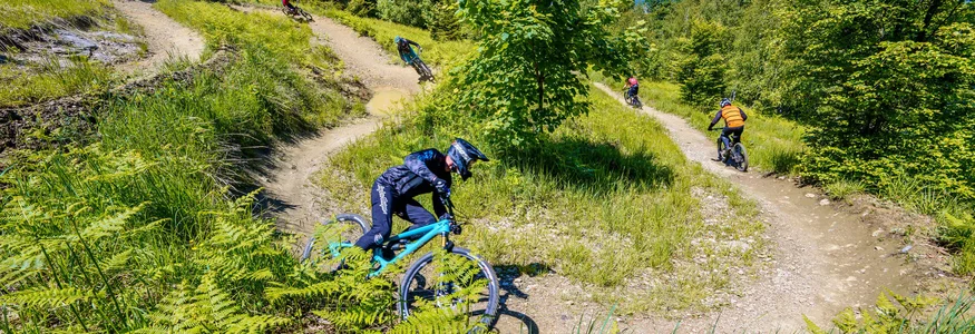 9 Gründe, warum Kočevsko noch ein echter MTB-Geheimtipp ist
© Ziga Marin Mountainbiker fahren auf kurviger Waldstrecke bei sonnigem Wetter