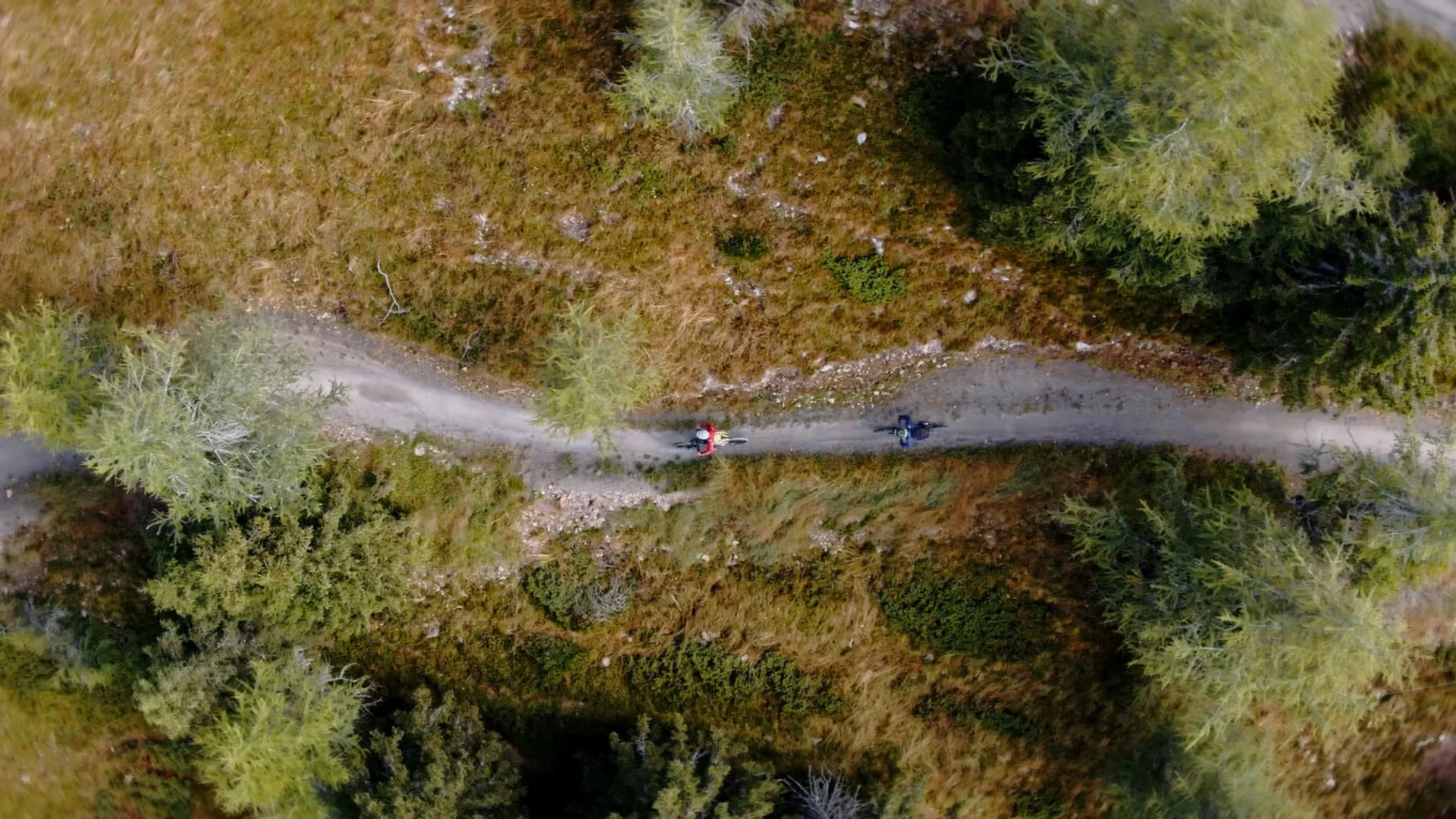 Drohnenansicht von zwei Radfahrern auf einem Waldweg